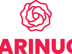 Demarinuoret logo.