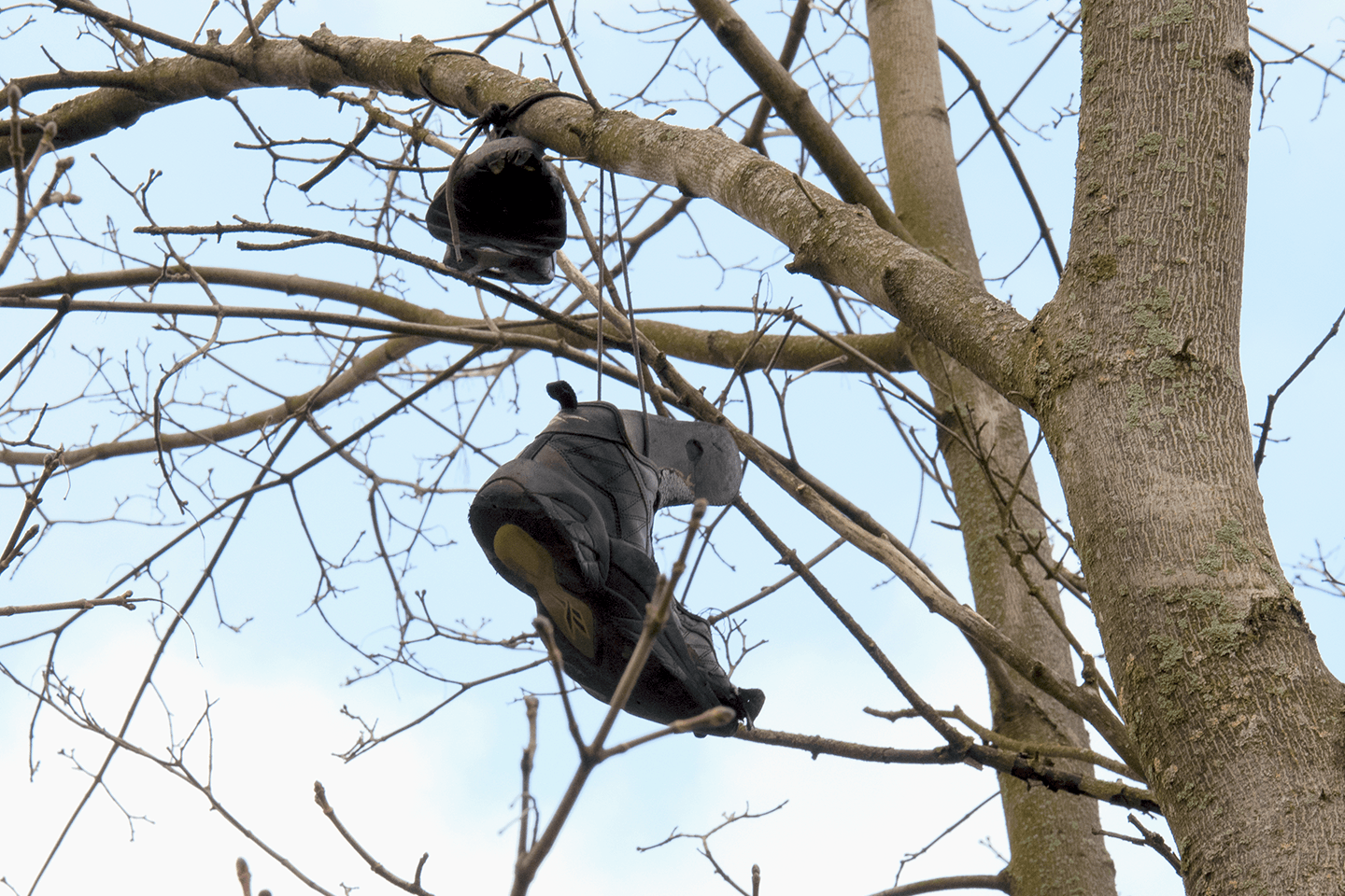 Rikkinäiset kengät roikkuvat puussa.