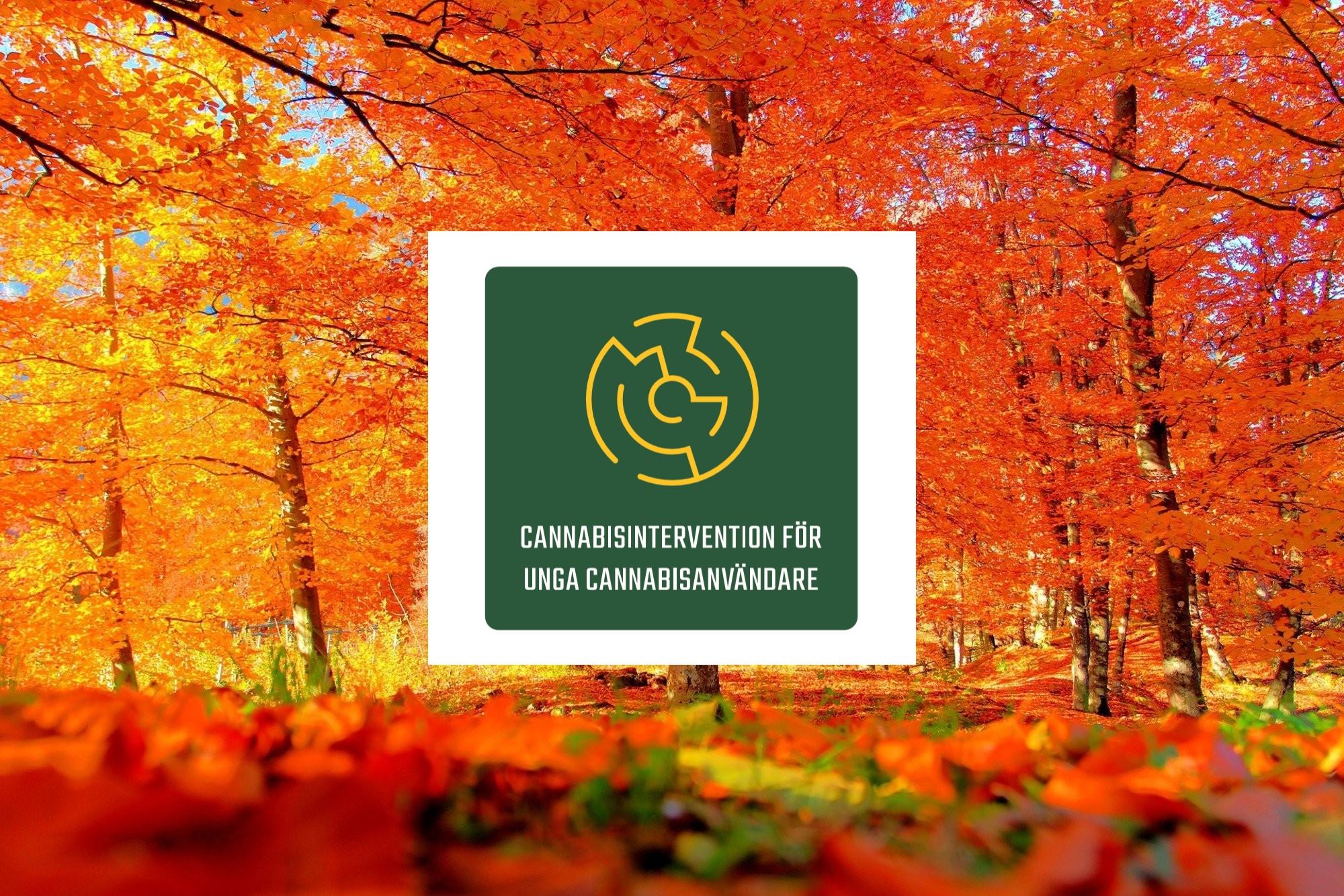 höstlig skog och logo cannabisintervention för unga cannabisanvändare