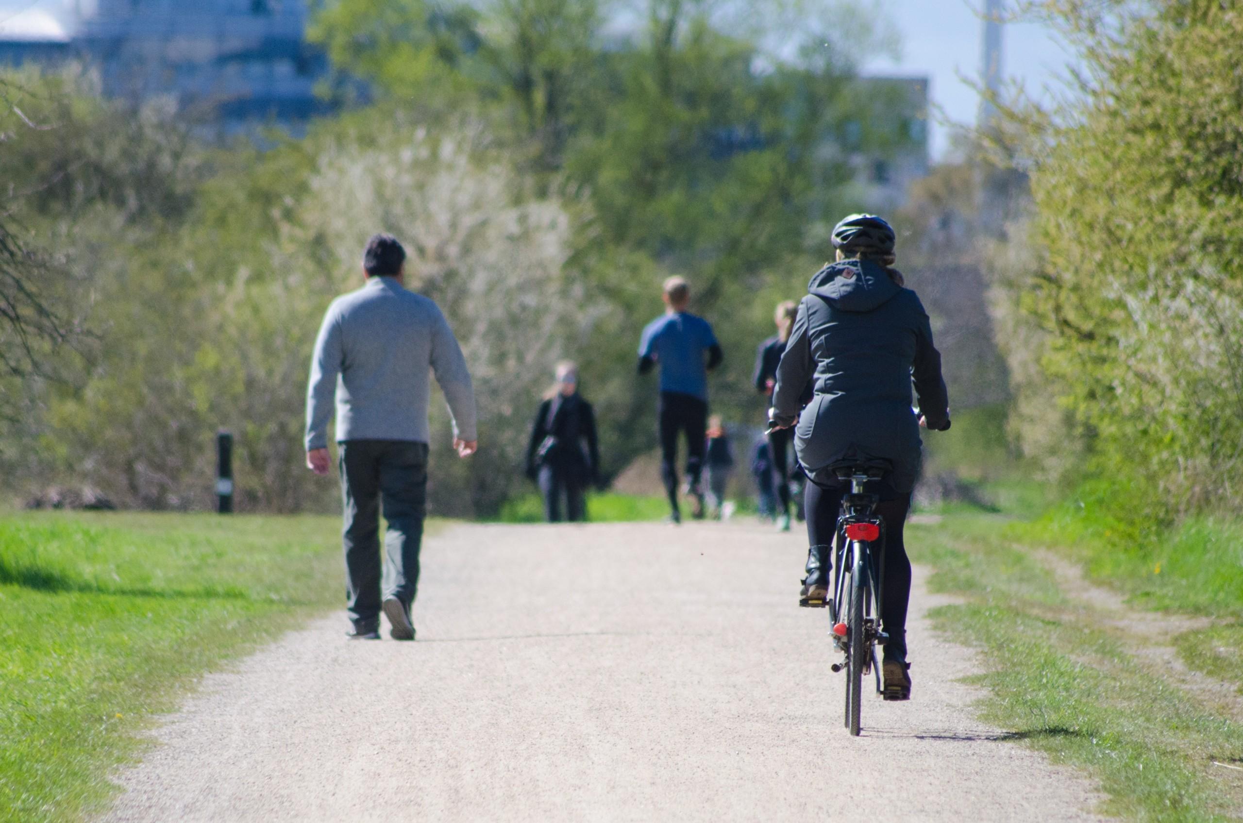 Pyöräilijöitä keväisessä puistossa.