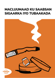 Tietoa nikotiinista. Somalinkielisen esitteen kansi.