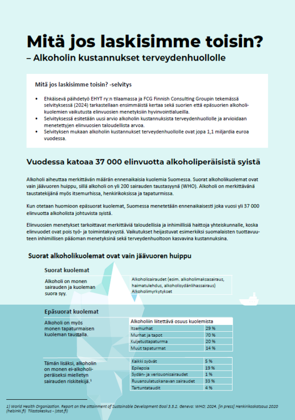 Mitä jos laskisimme toisin? -infograafin kansikuva